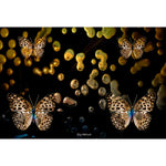 Life Renewal - Abstract Art